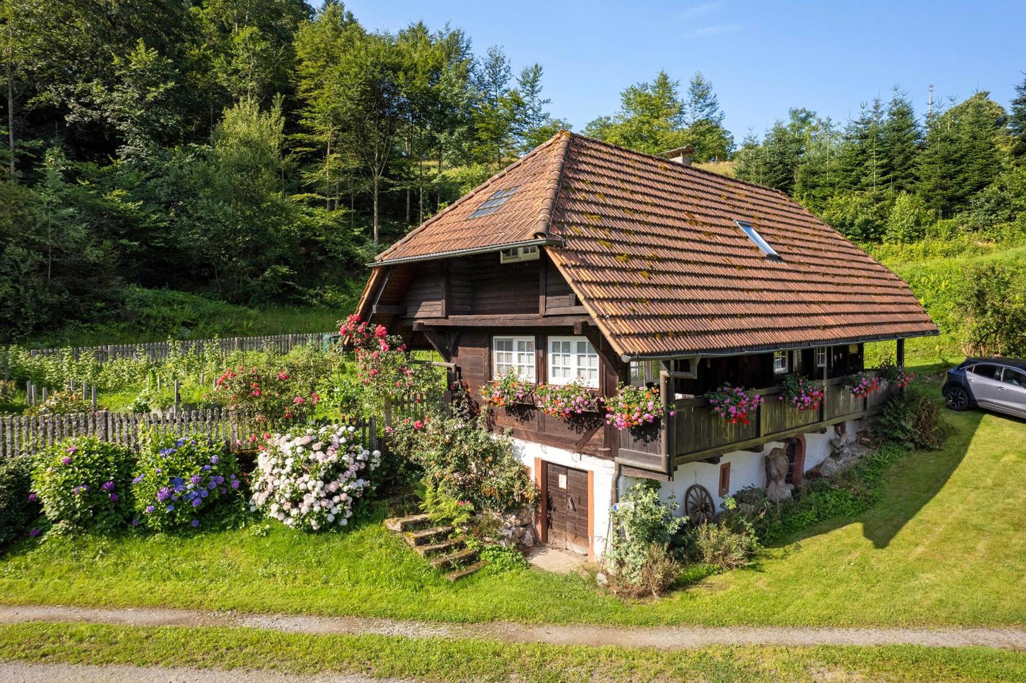 Schwarzwald Buchenhof Villa Zell am Harmersbach Dış mekan fotoğraf